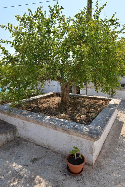Masseria Gravinella Fasano Kültér fotó